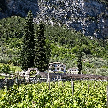 درو Agriturismo Maso Lizzone المظهر الخارجي الصورة