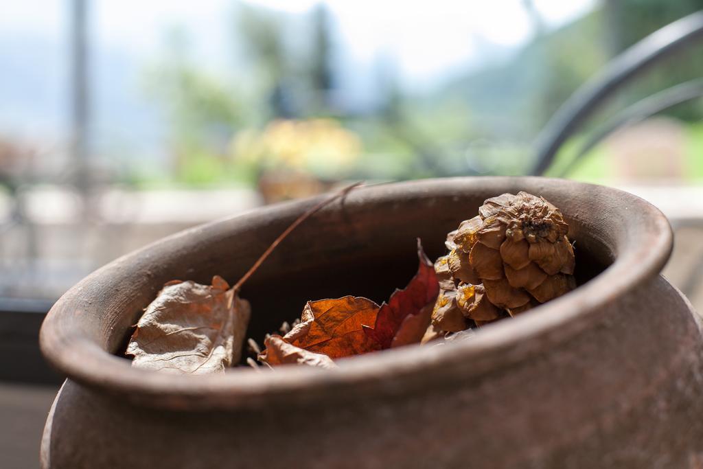 درو Agriturismo Maso Lizzone المظهر الخارجي الصورة