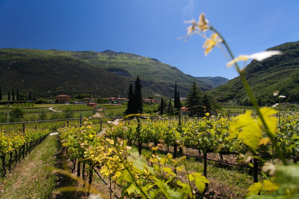 درو Agriturismo Maso Lizzone المظهر الخارجي الصورة