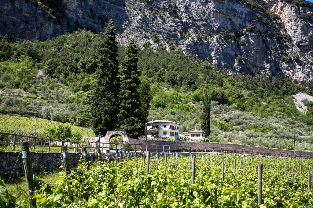 درو Agriturismo Maso Lizzone المظهر الخارجي الصورة